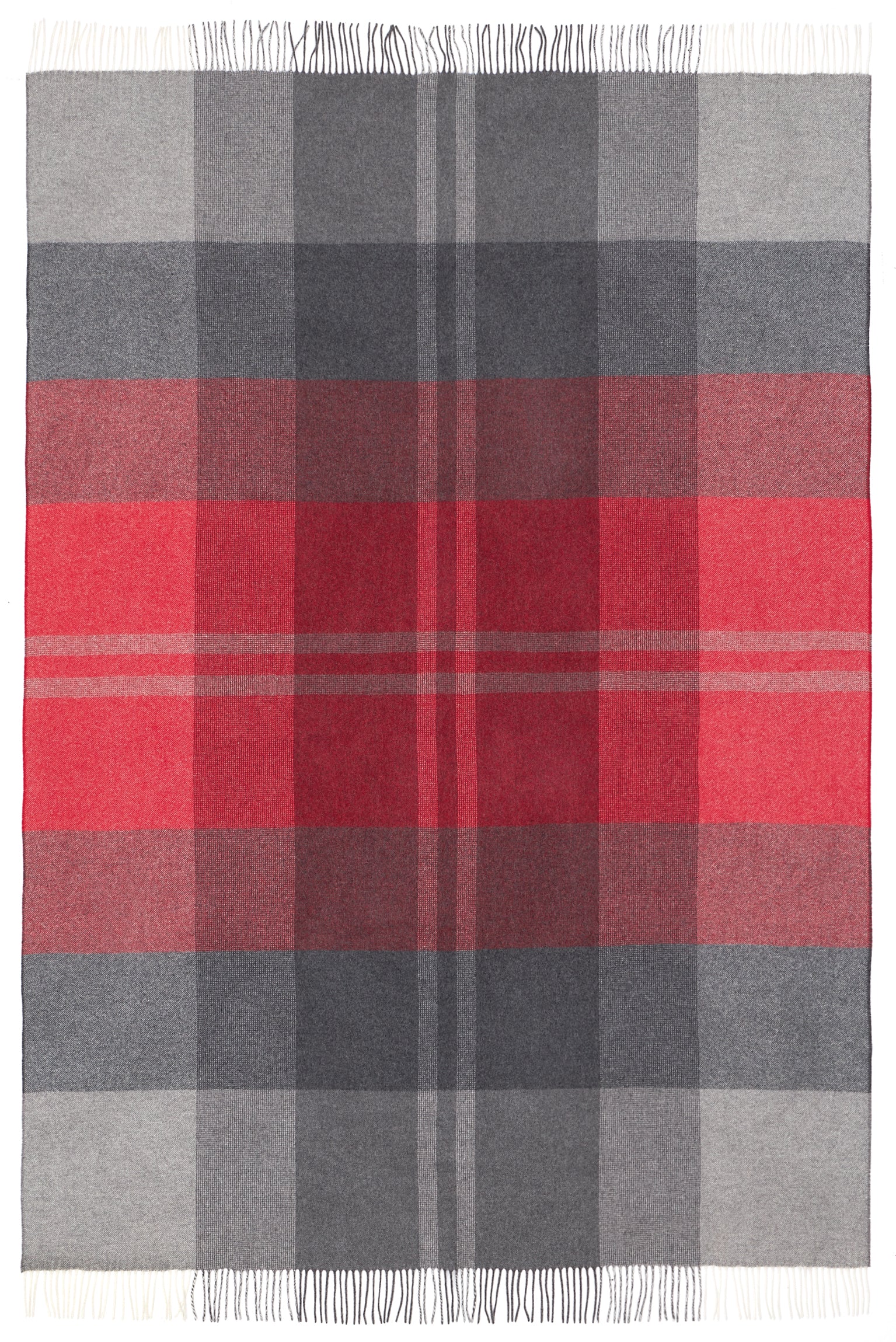 Plaid Toronto