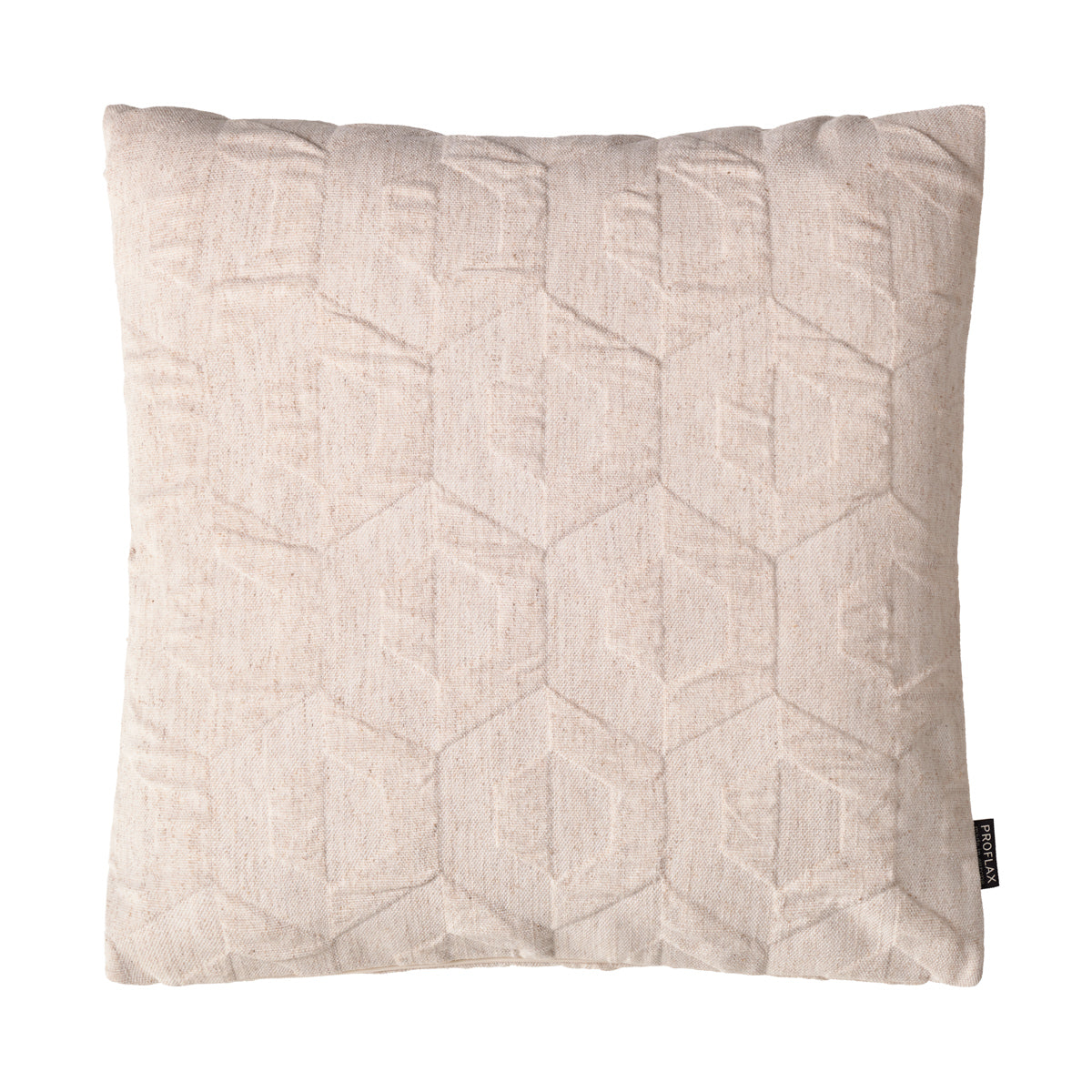 Decorative Cushion Cover 3980